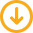 Down Arrow Icon